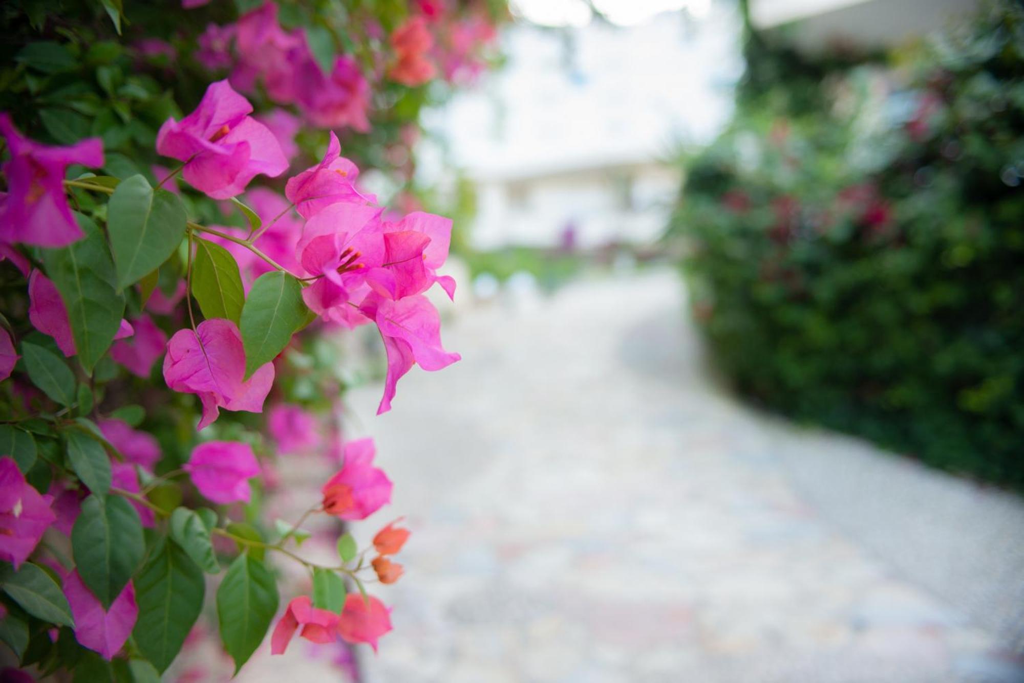 Bougainville Bay Apartments Sarandë Exteriör bild
